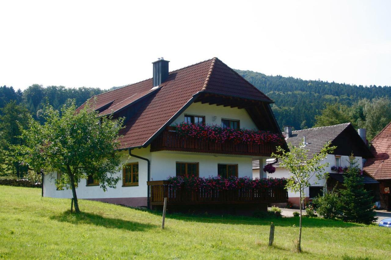 Ferienwohnung Seelbach  Exterior foto